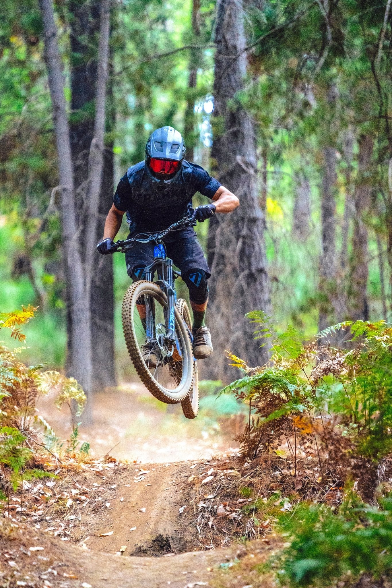 The Heckler Jersey v2 - Frankd MTB Apparel